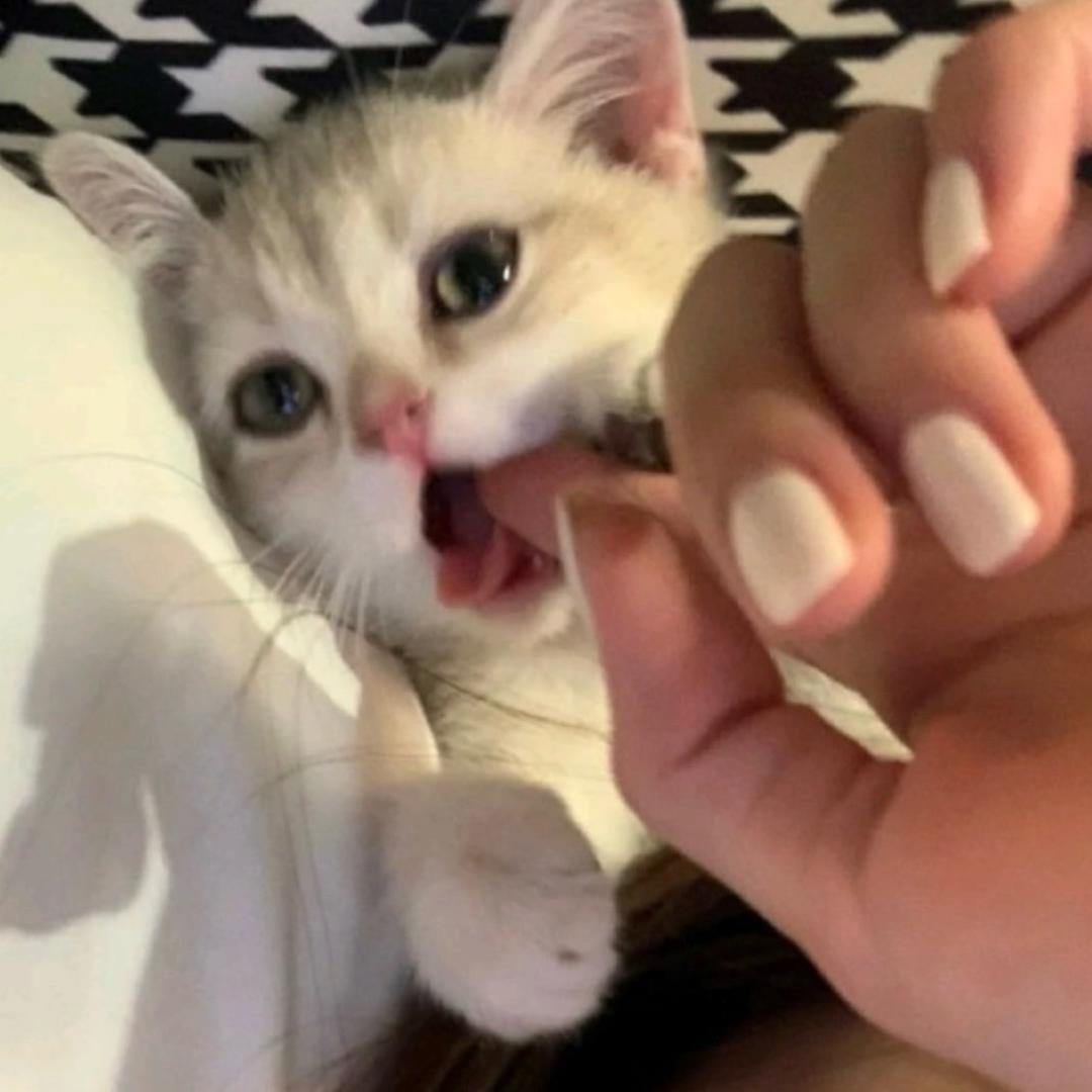 uu：