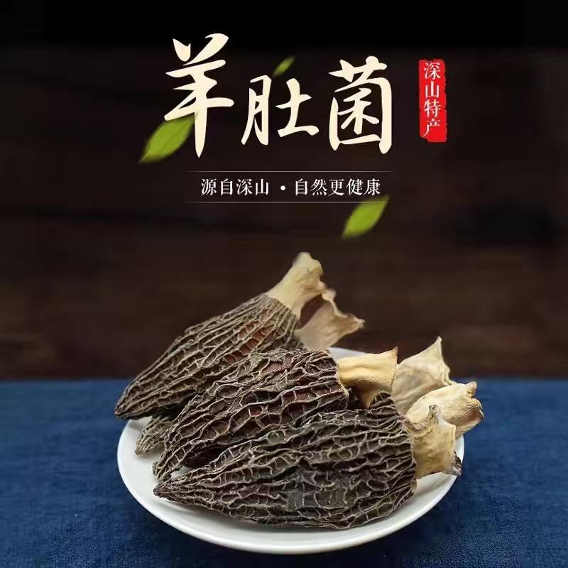 小七菌菇