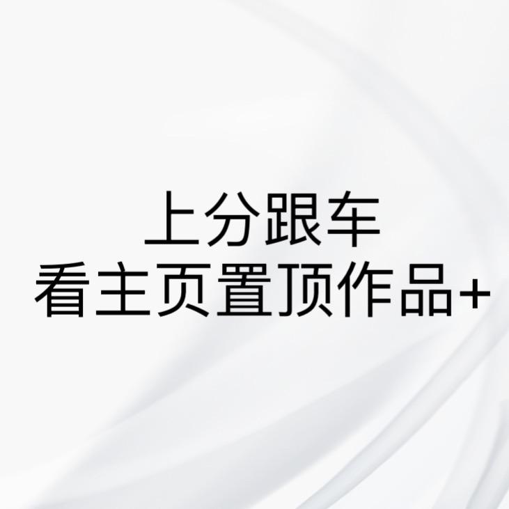 大头王者工作室 （上分包星）2