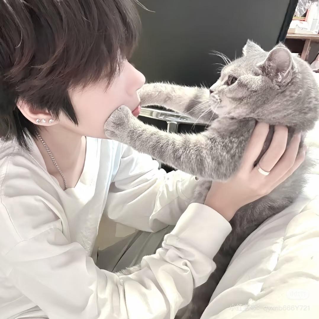 辰希·𝓐𝓻𝓲𝓪