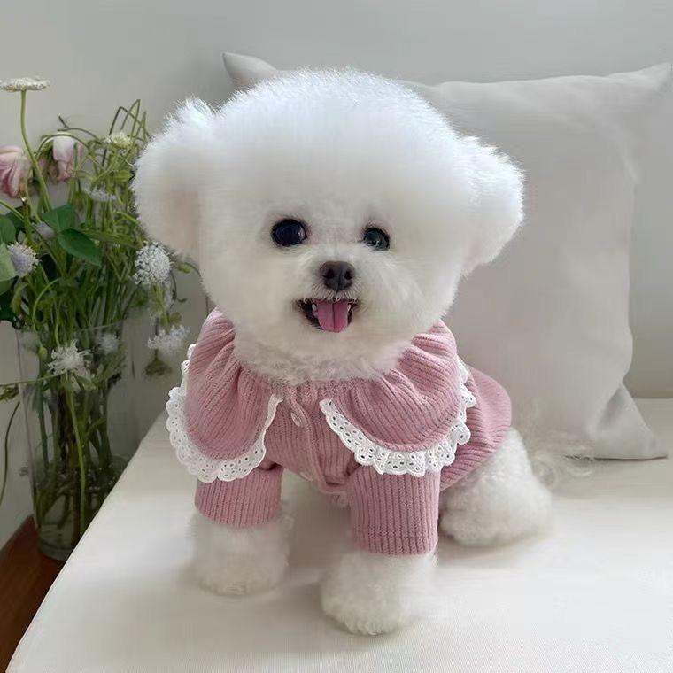 🍓🍓草莓味