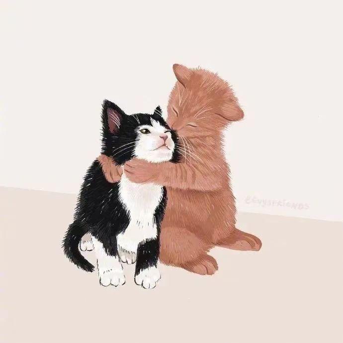 一只猫伊