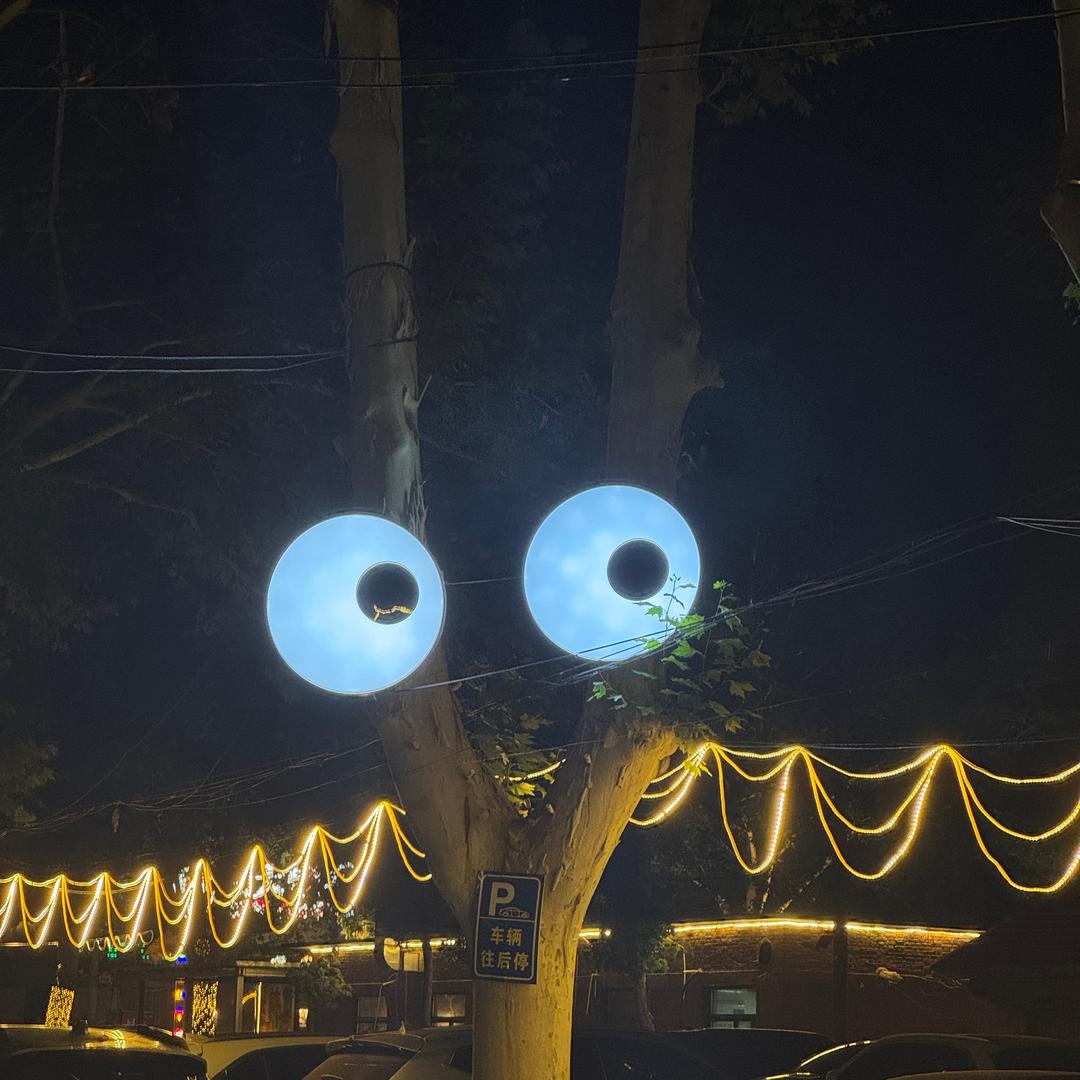 。。。。。。。