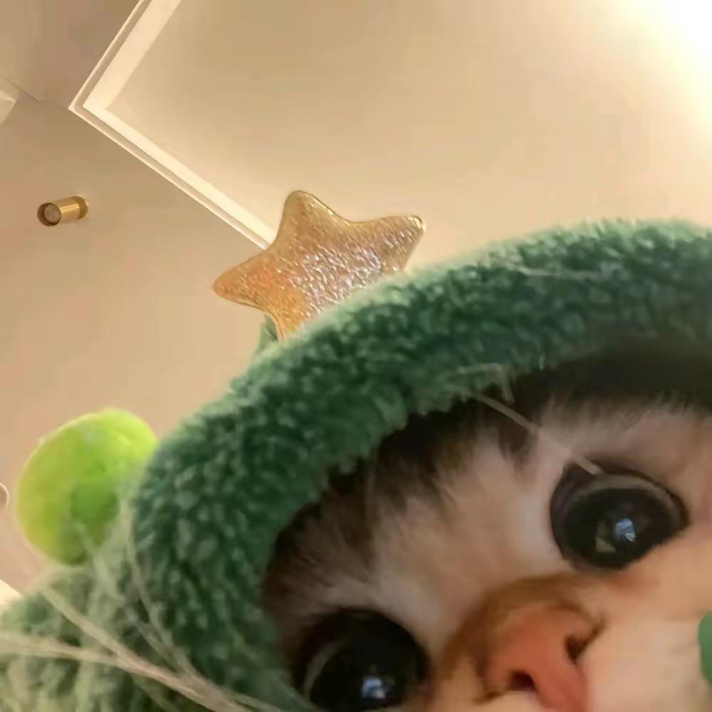 睡两天觉比什么都强