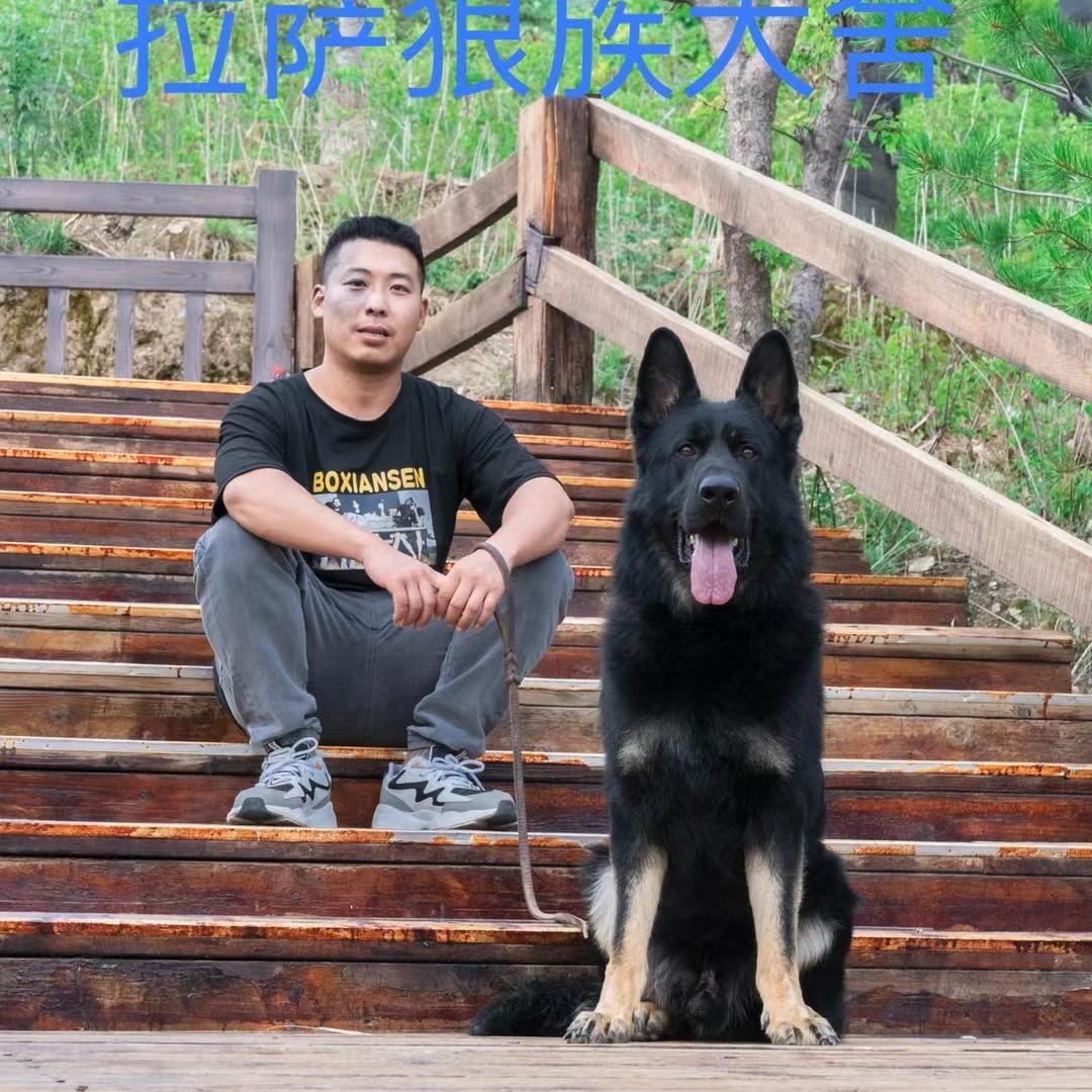 雪域狼族犬舍