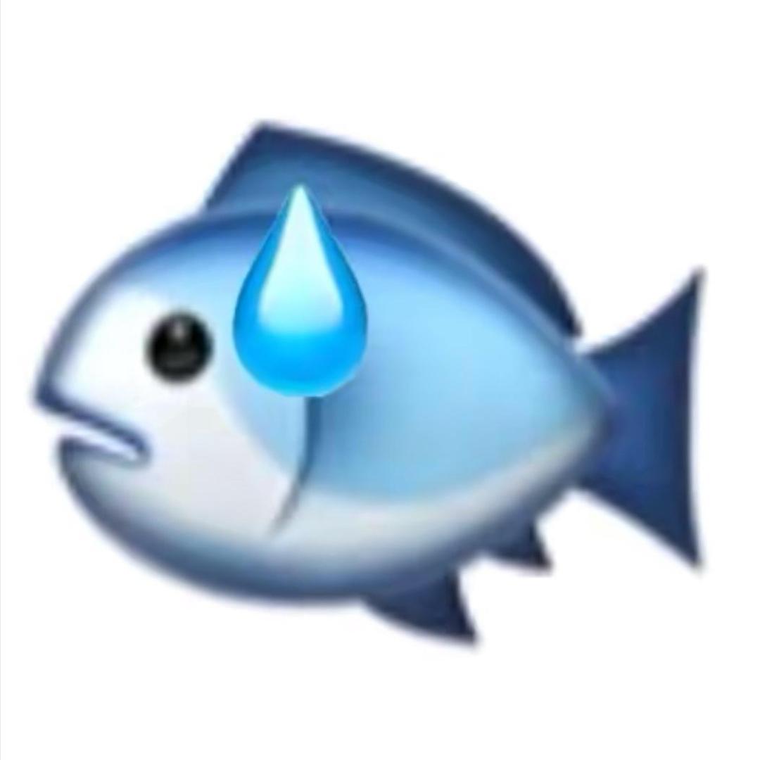 糕冷小🐟x