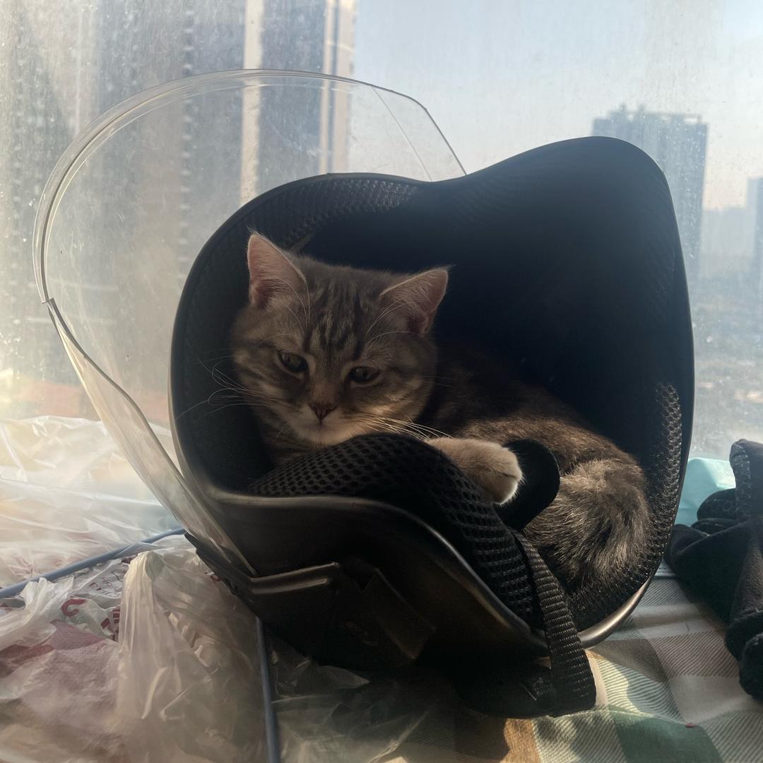 牧牧