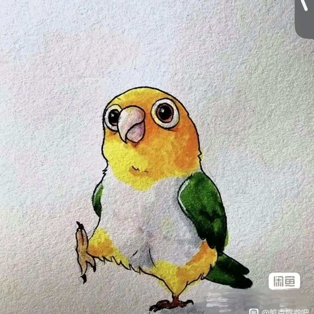 小憨憨