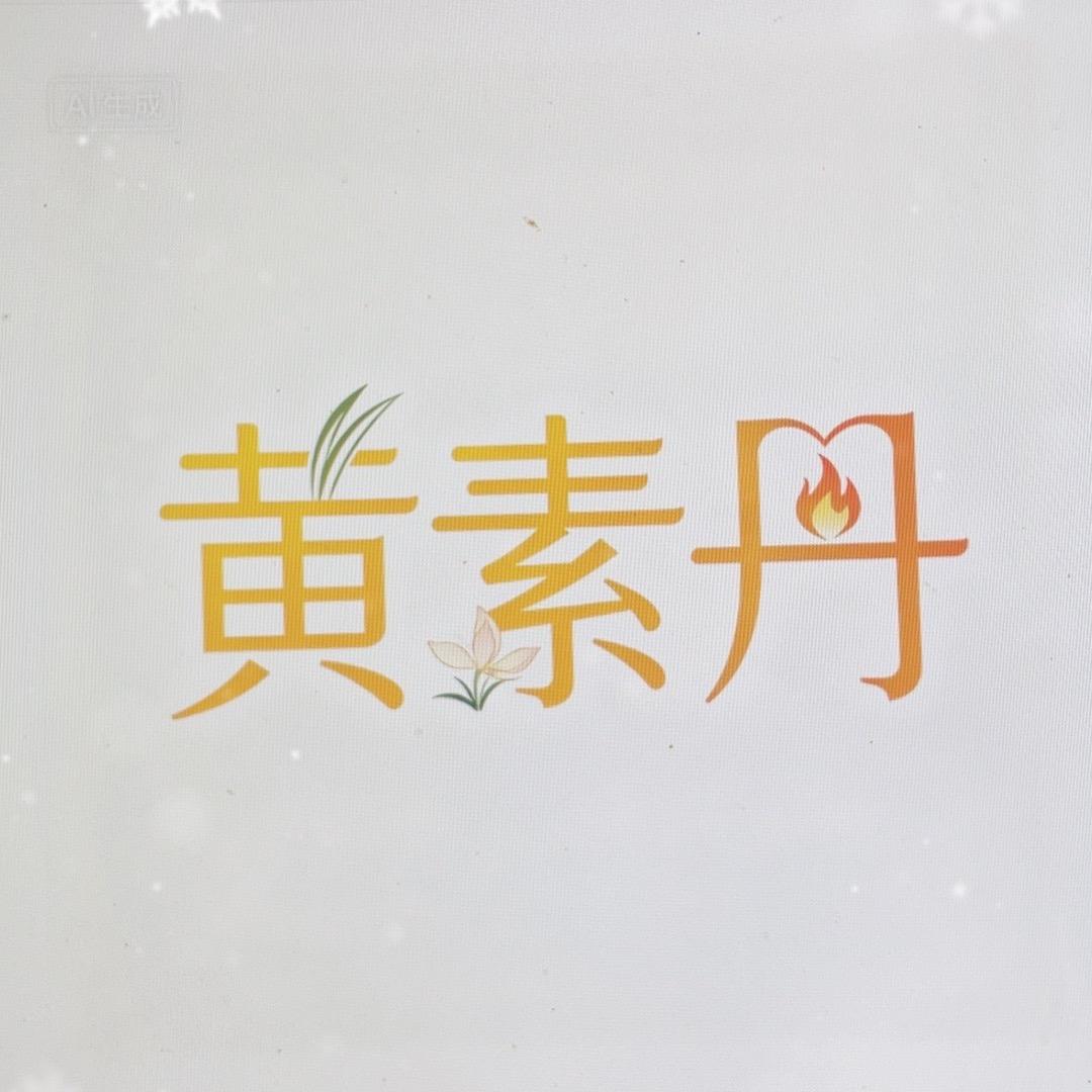 素问丹心(瑞启新智)
