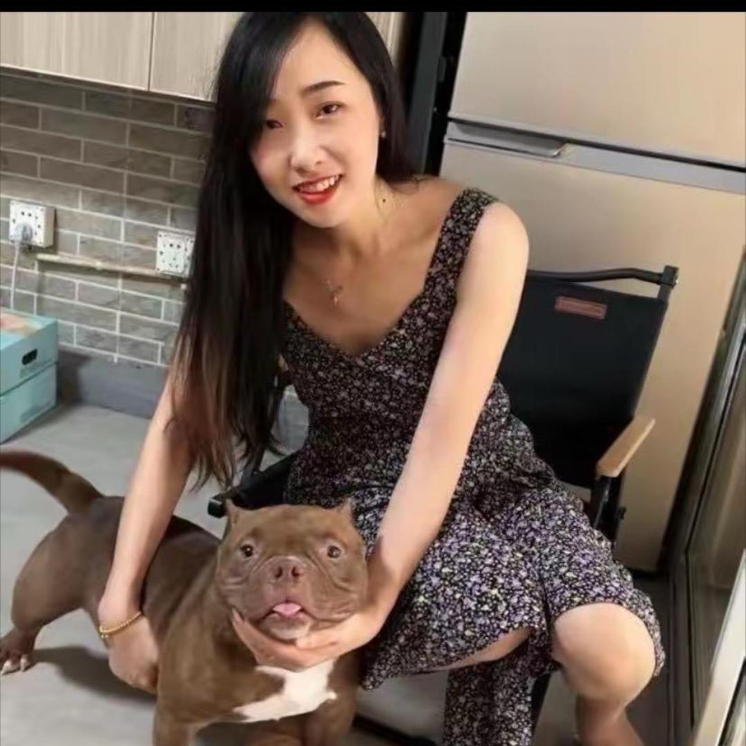 云峰家的韩系比熊