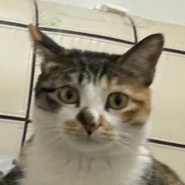 aaaaaa.