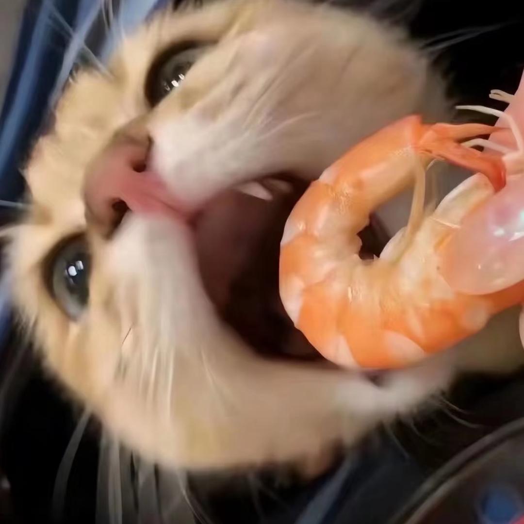 +1🍤