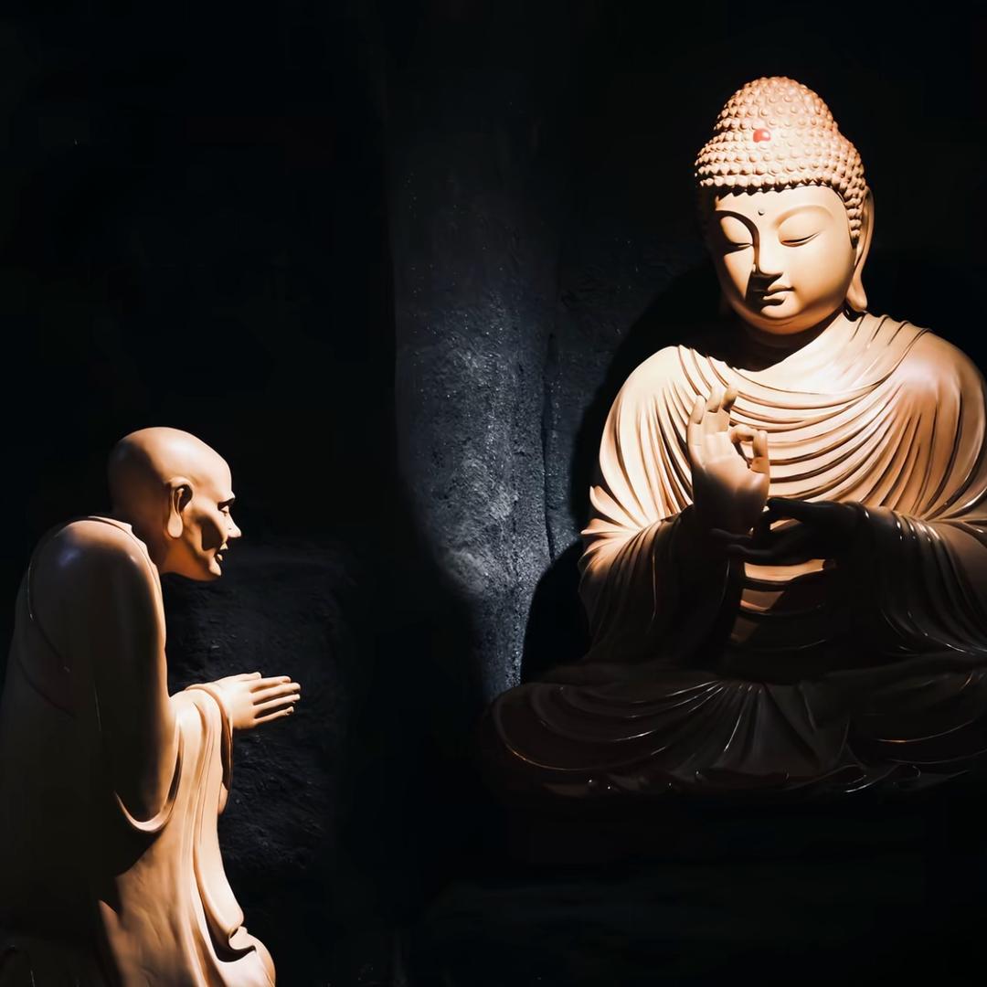 老朋友🐻‍❄️