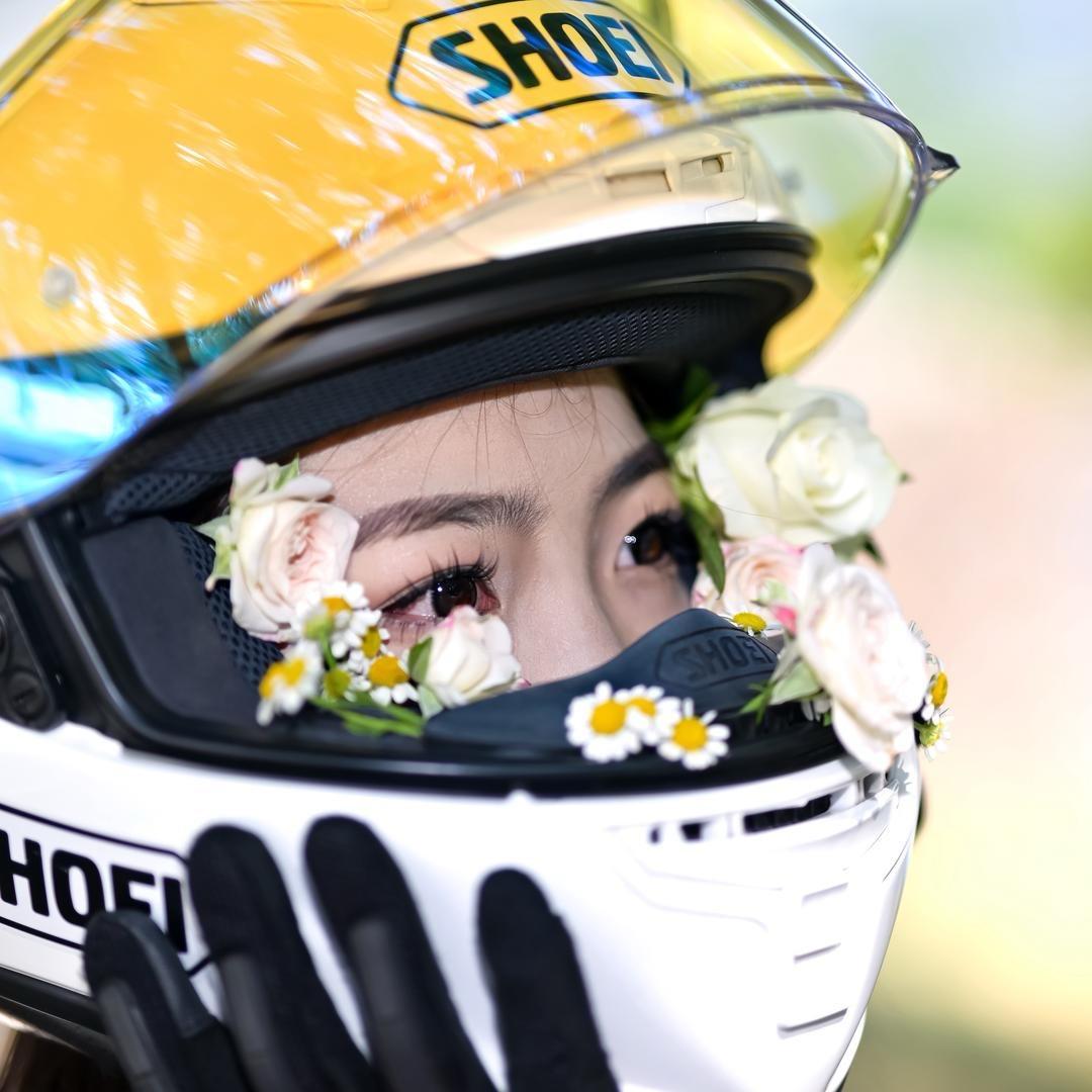 骑乌鸡motto的木头