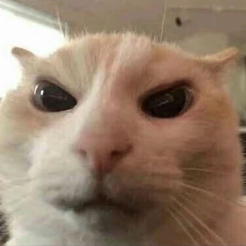 柳似