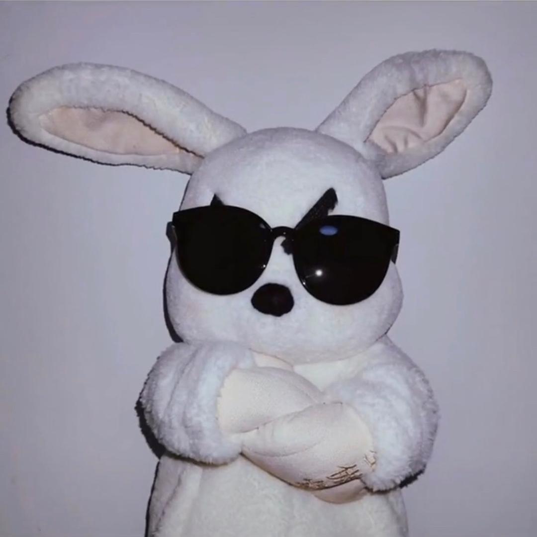 🐰蓝兔