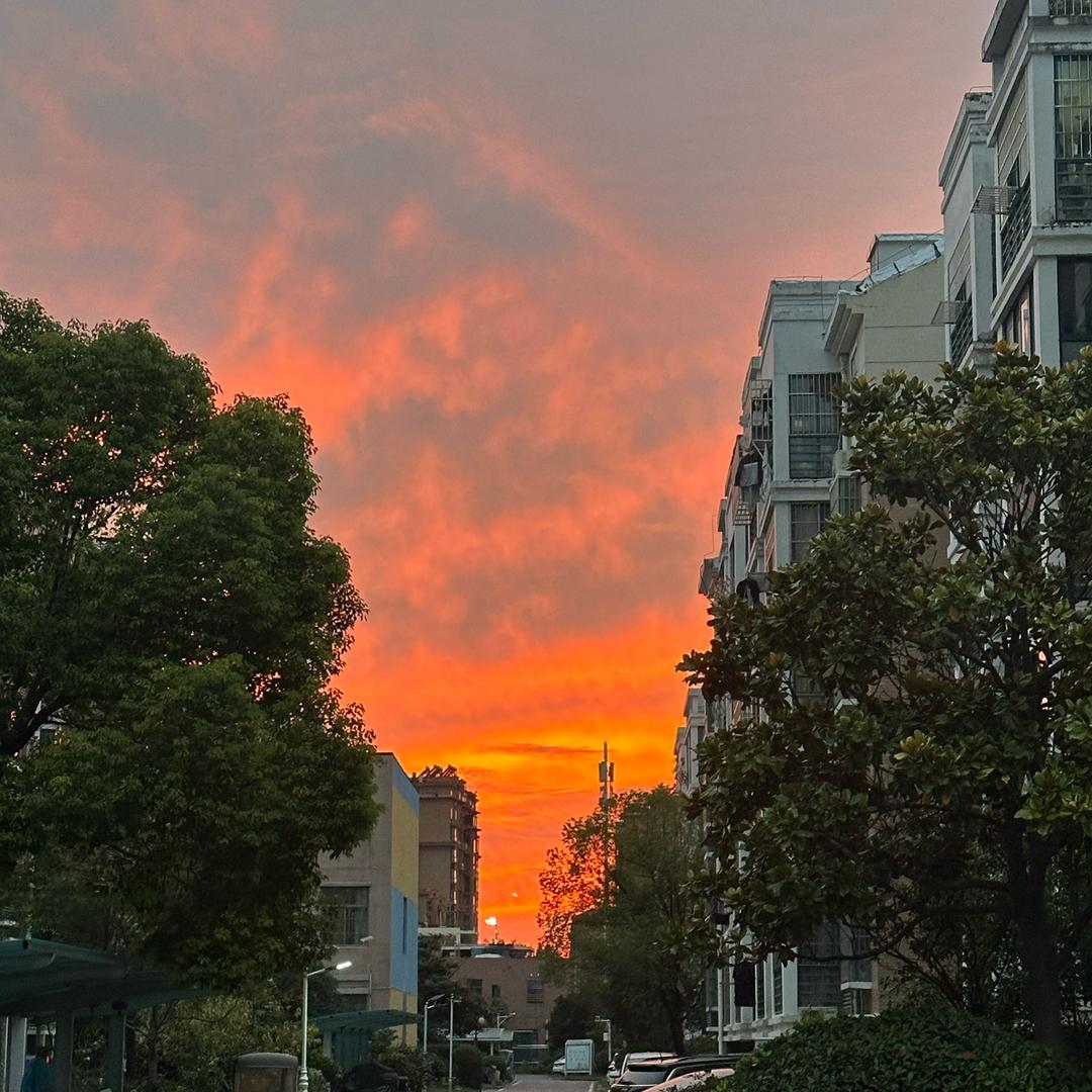 8 号当铺—「网店转让」