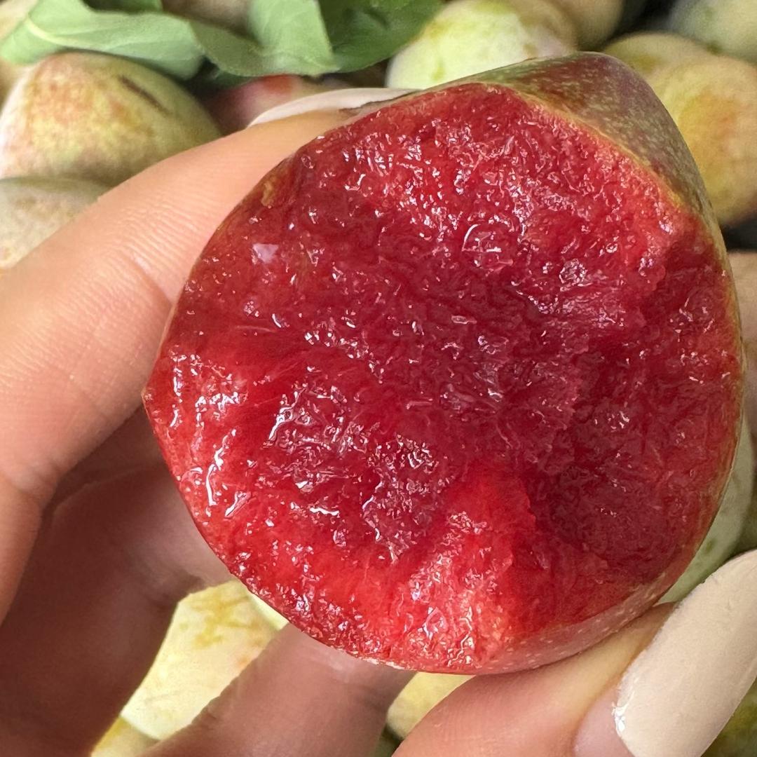 嵊州金庭桃形李果园