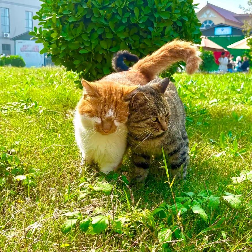 我好 冷*･゜ﾟ･*