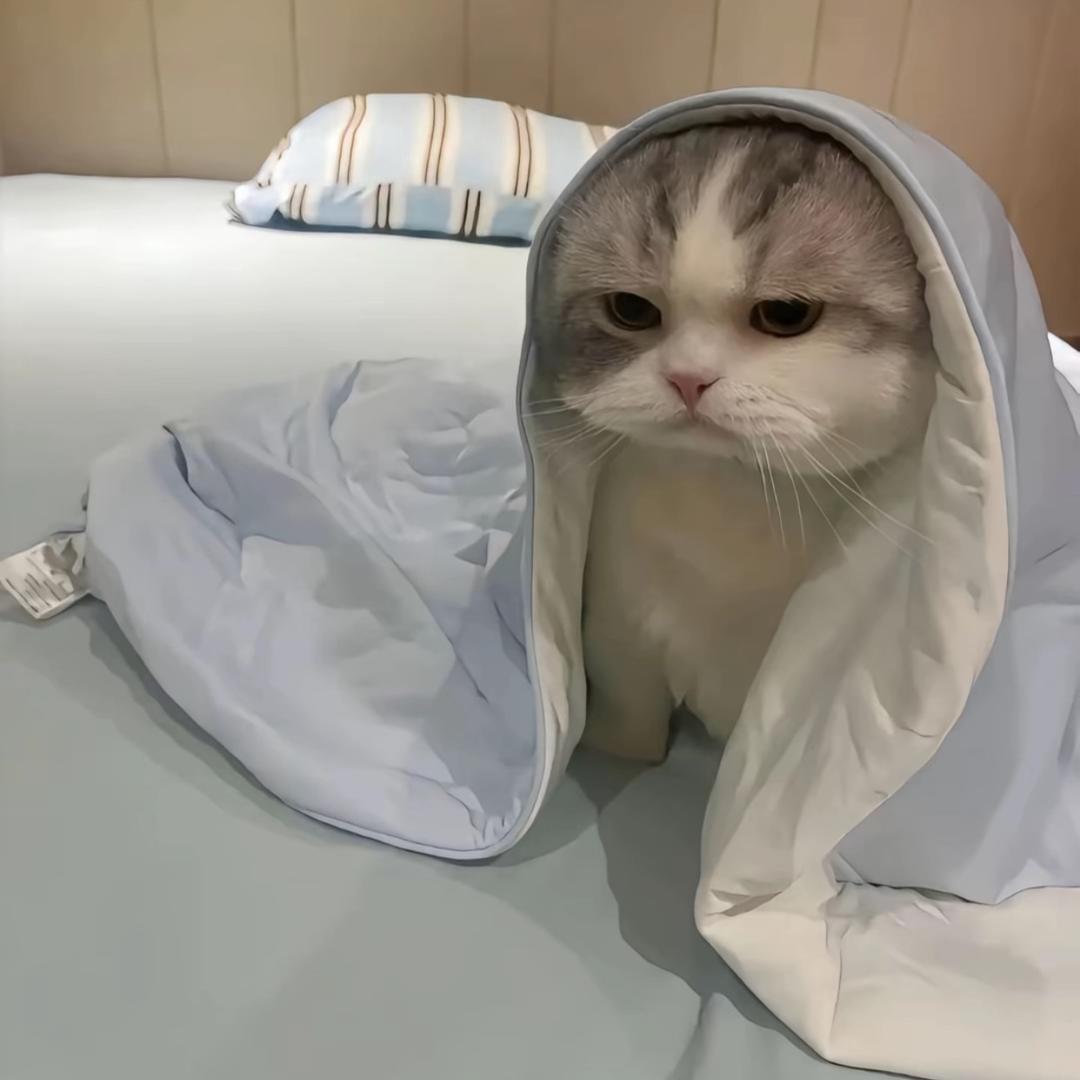 혁