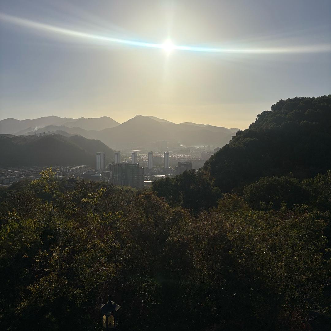 浴火重生