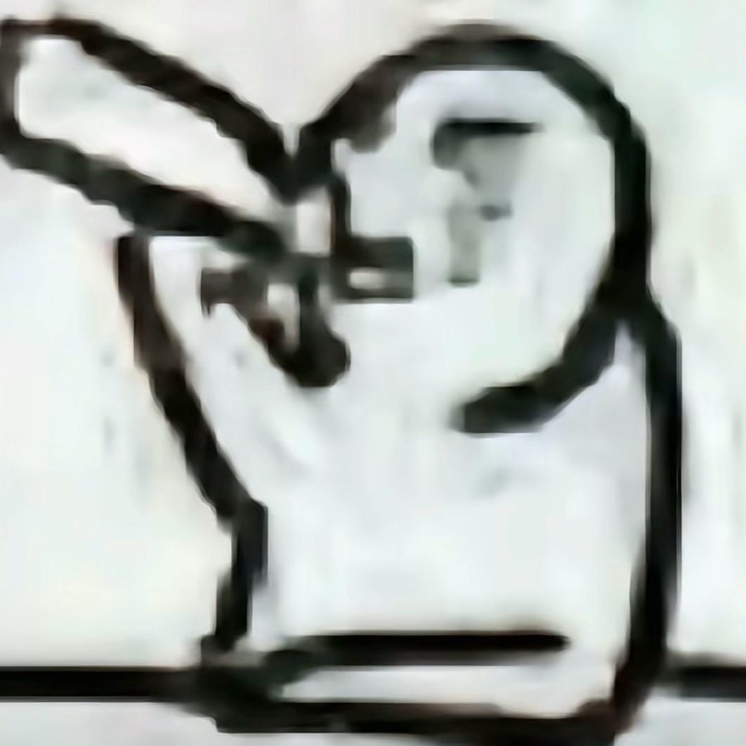 一枪一个哥