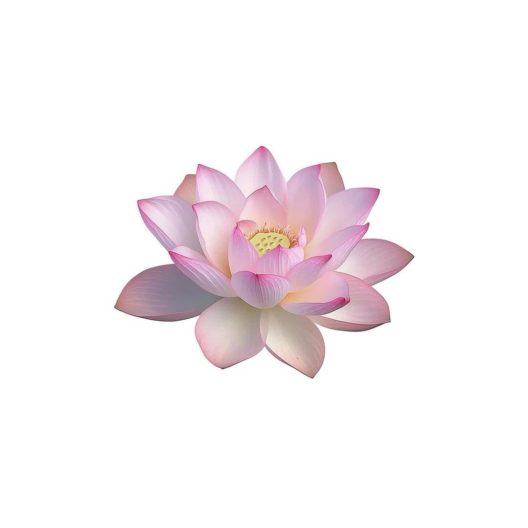 不爱睡觉