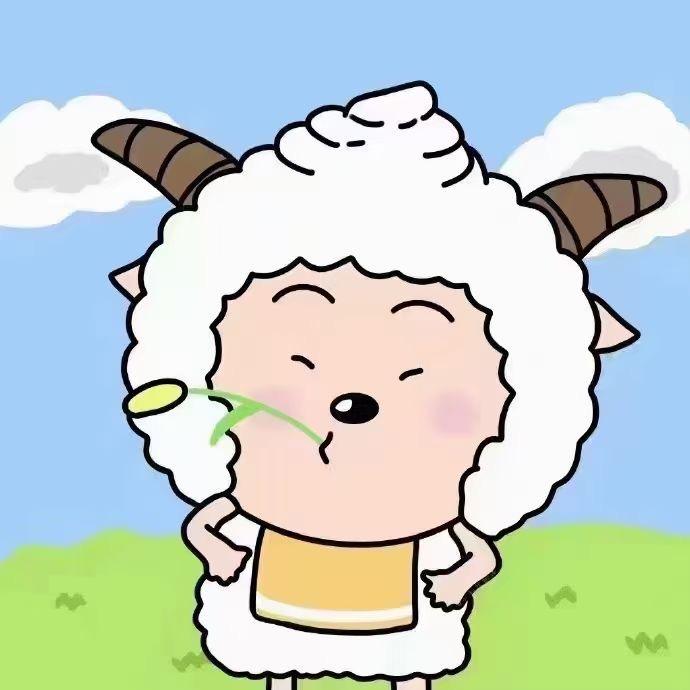 泽泽