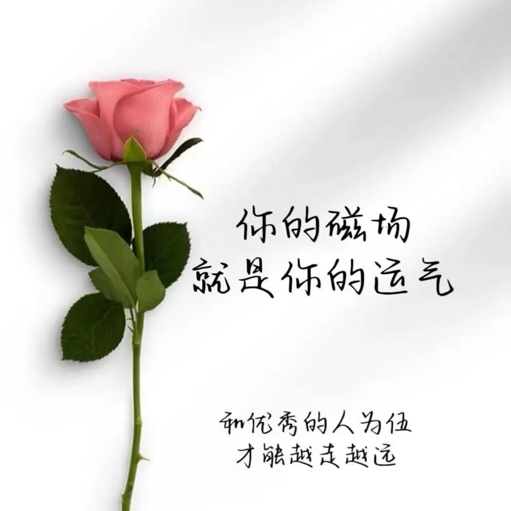 琴宝❤️(来自仙源乐坪）