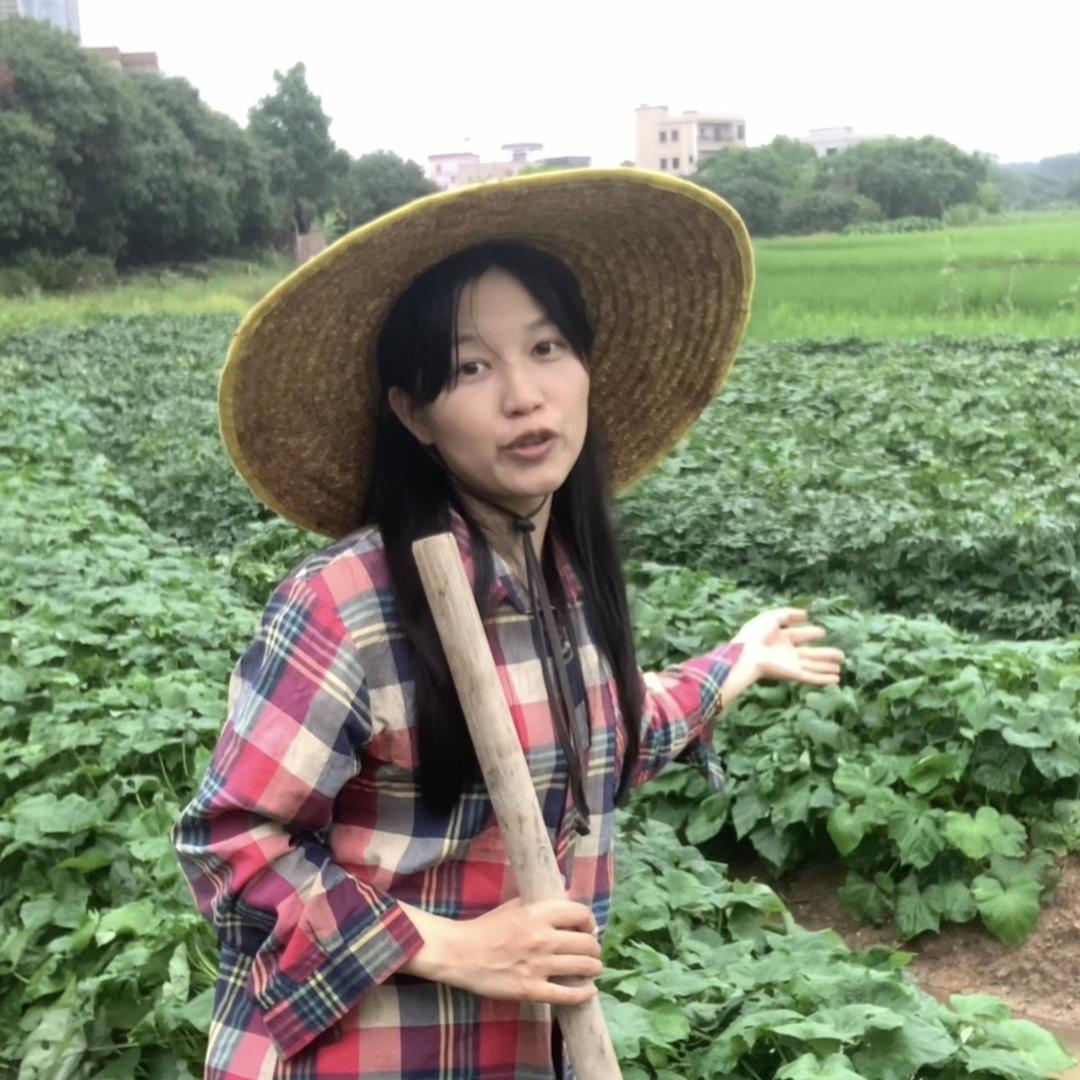 田头仓生鲜