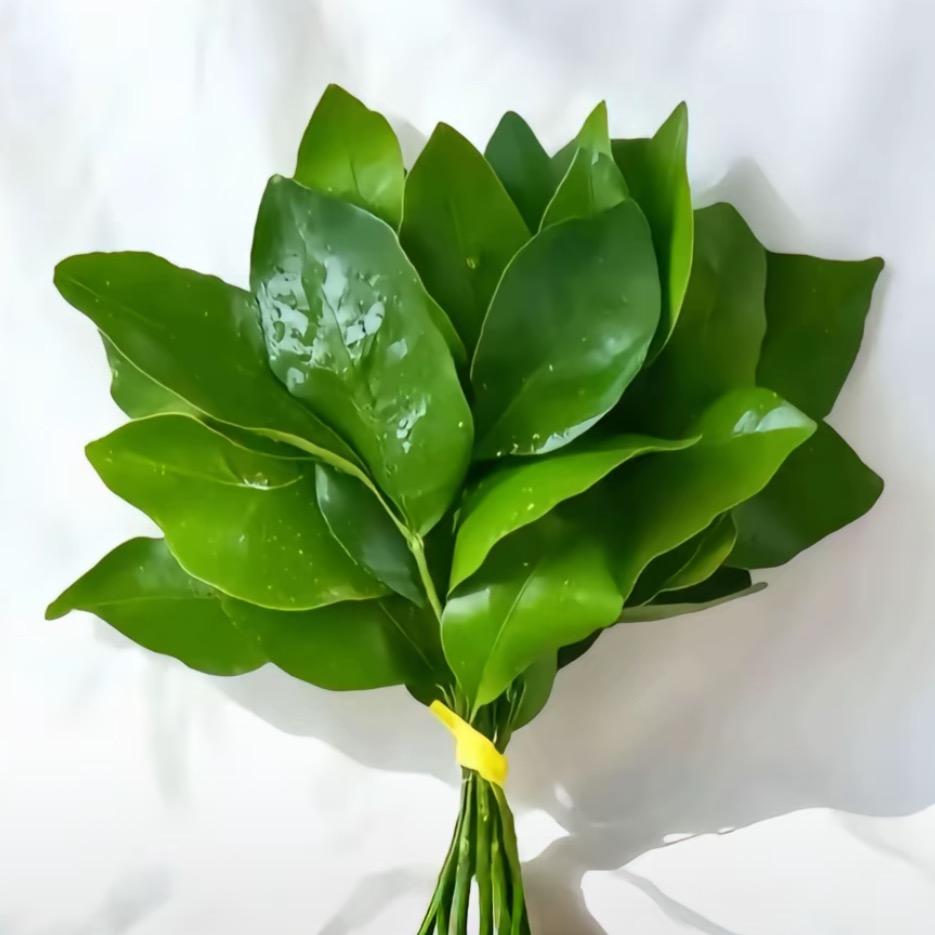 拾柒.打工版