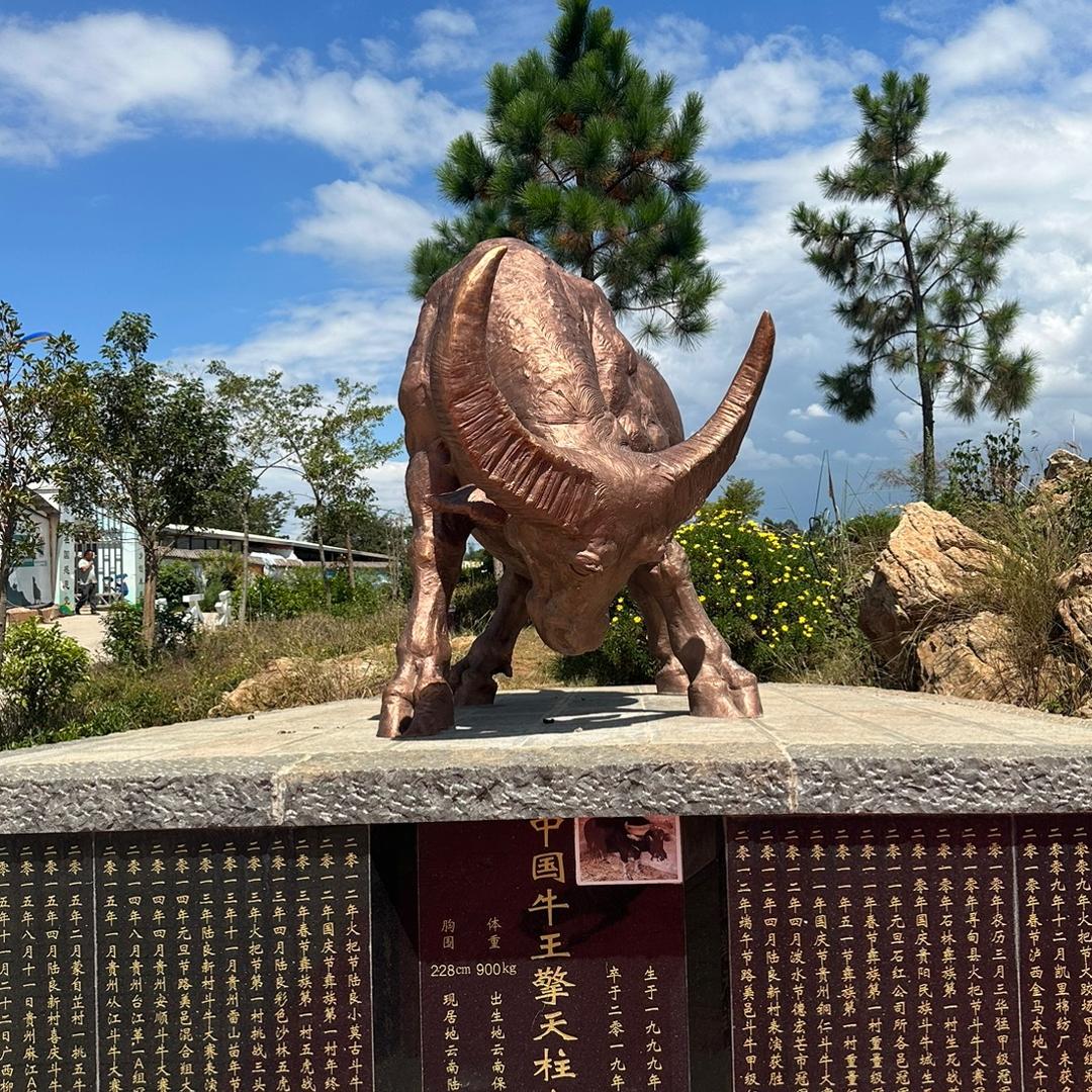 陆良擎天柱