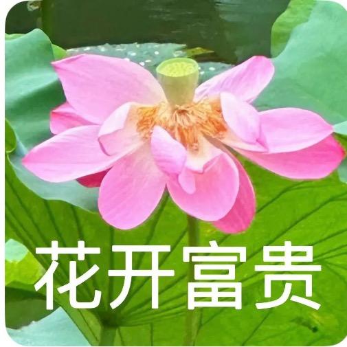 尩富贵