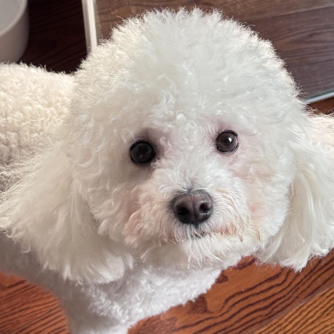 财宝哥&小陈弟弟