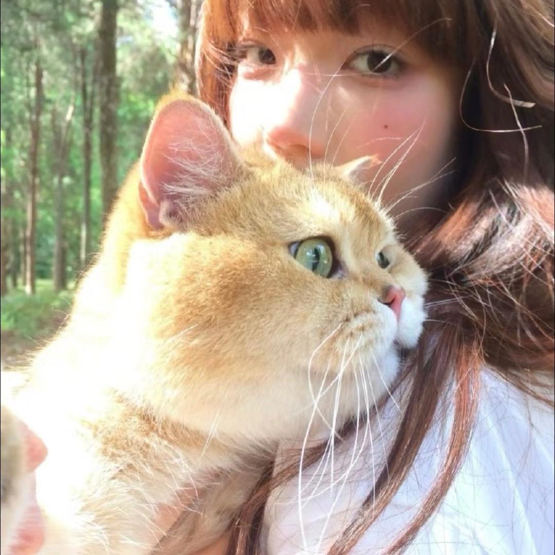 忧郁总裁兜不住屎被护工吊打