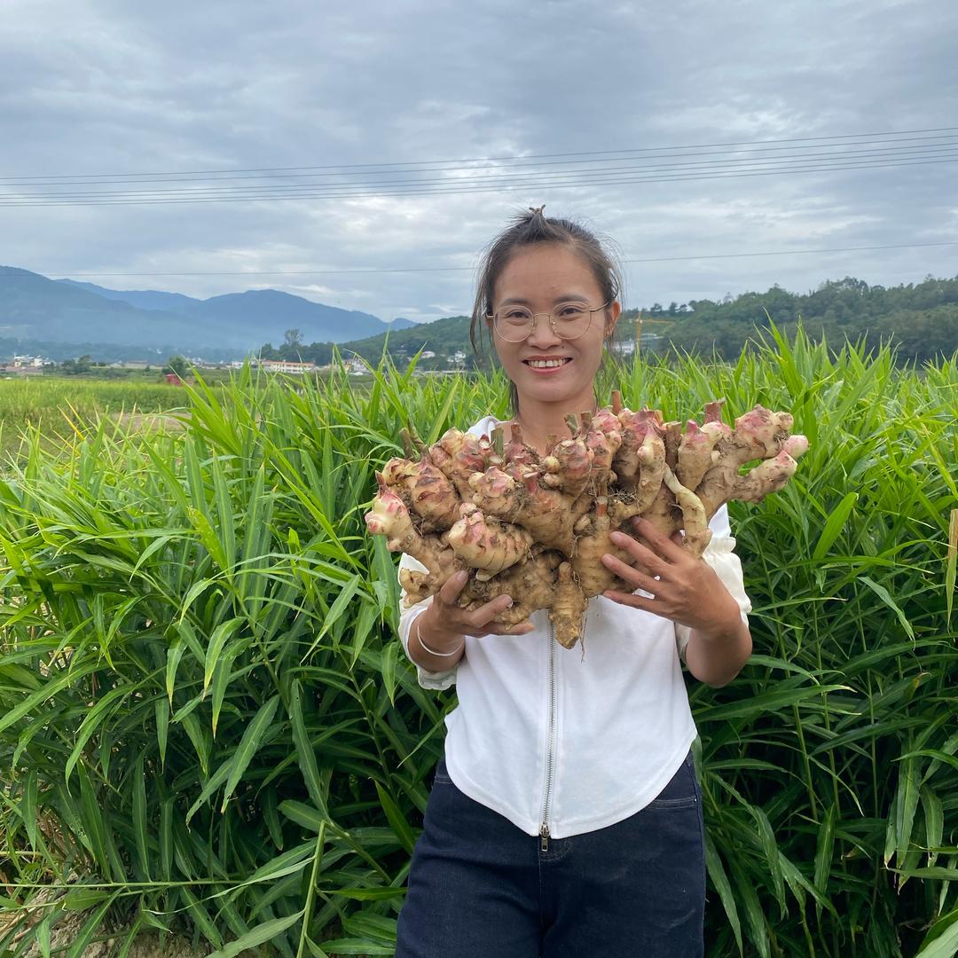 太溪邦素姐讲生姜、百香果曲江店