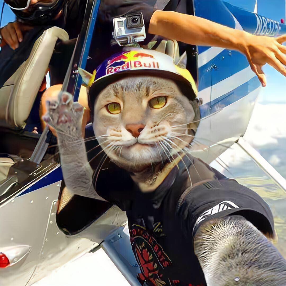 周星星星星星星