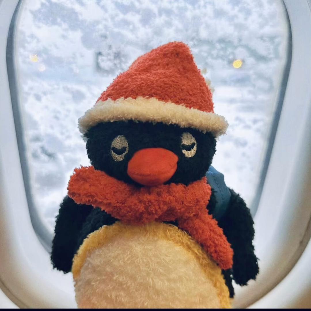 我不冲Q币🐧