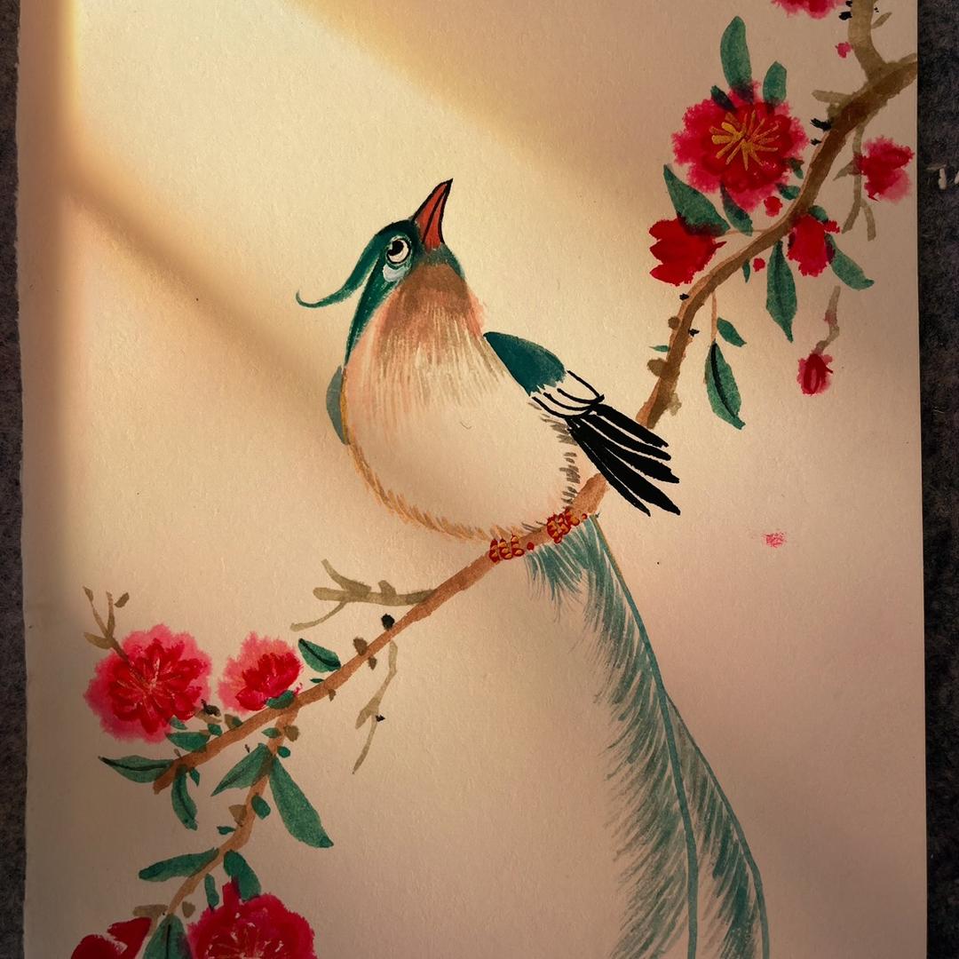 画画的小雨