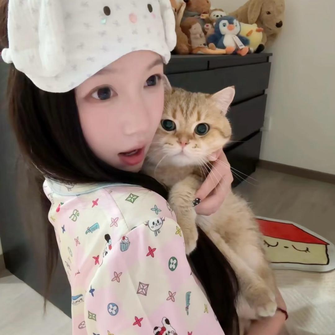 喵了个咪