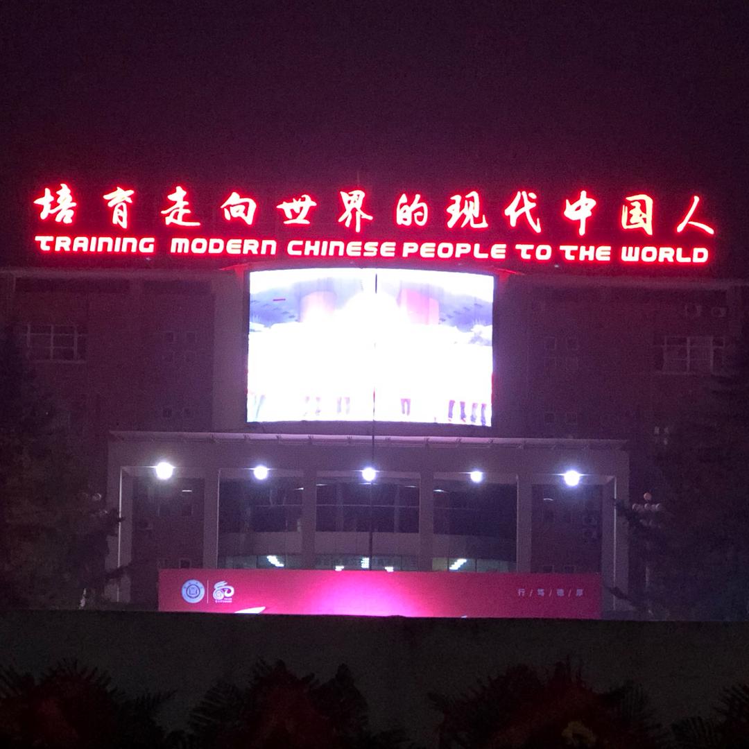 优雅之枫
