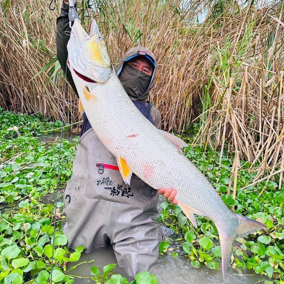 路亚🎣手拿把掐