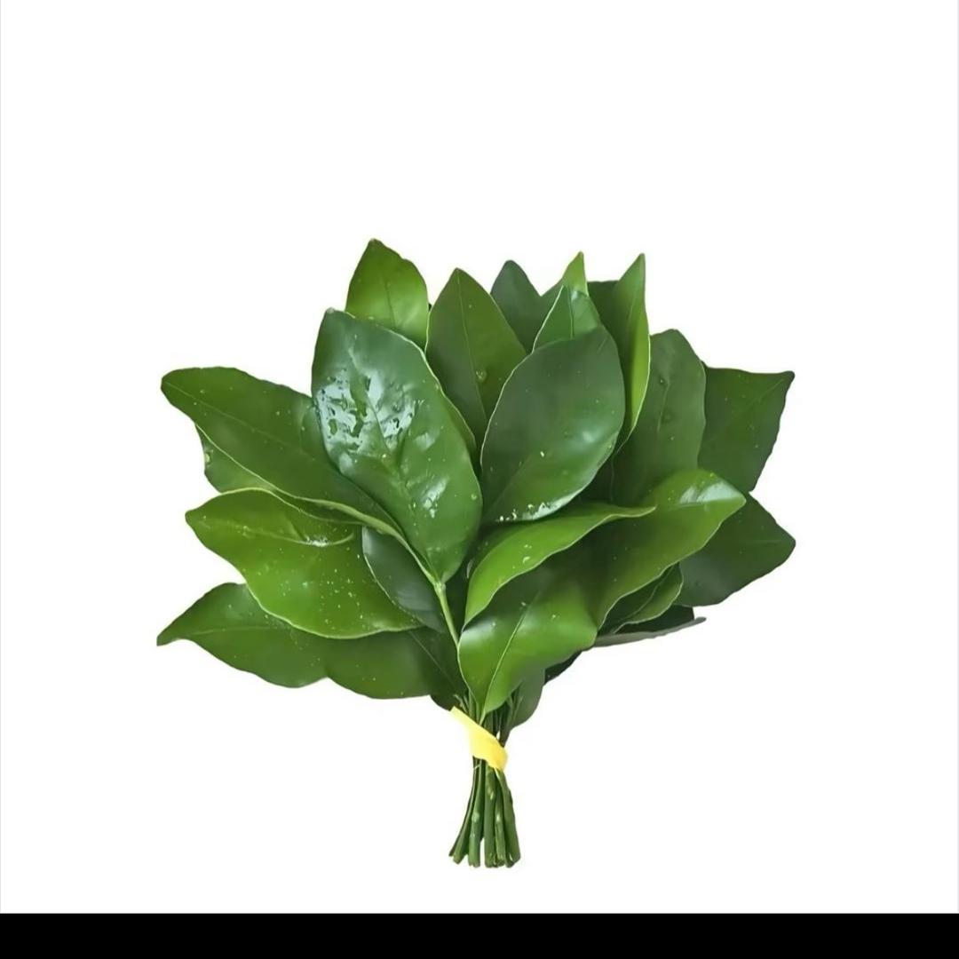 婷婷a