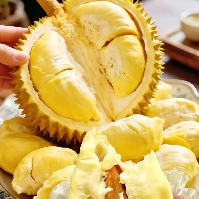 猫山王榴莲源头直供