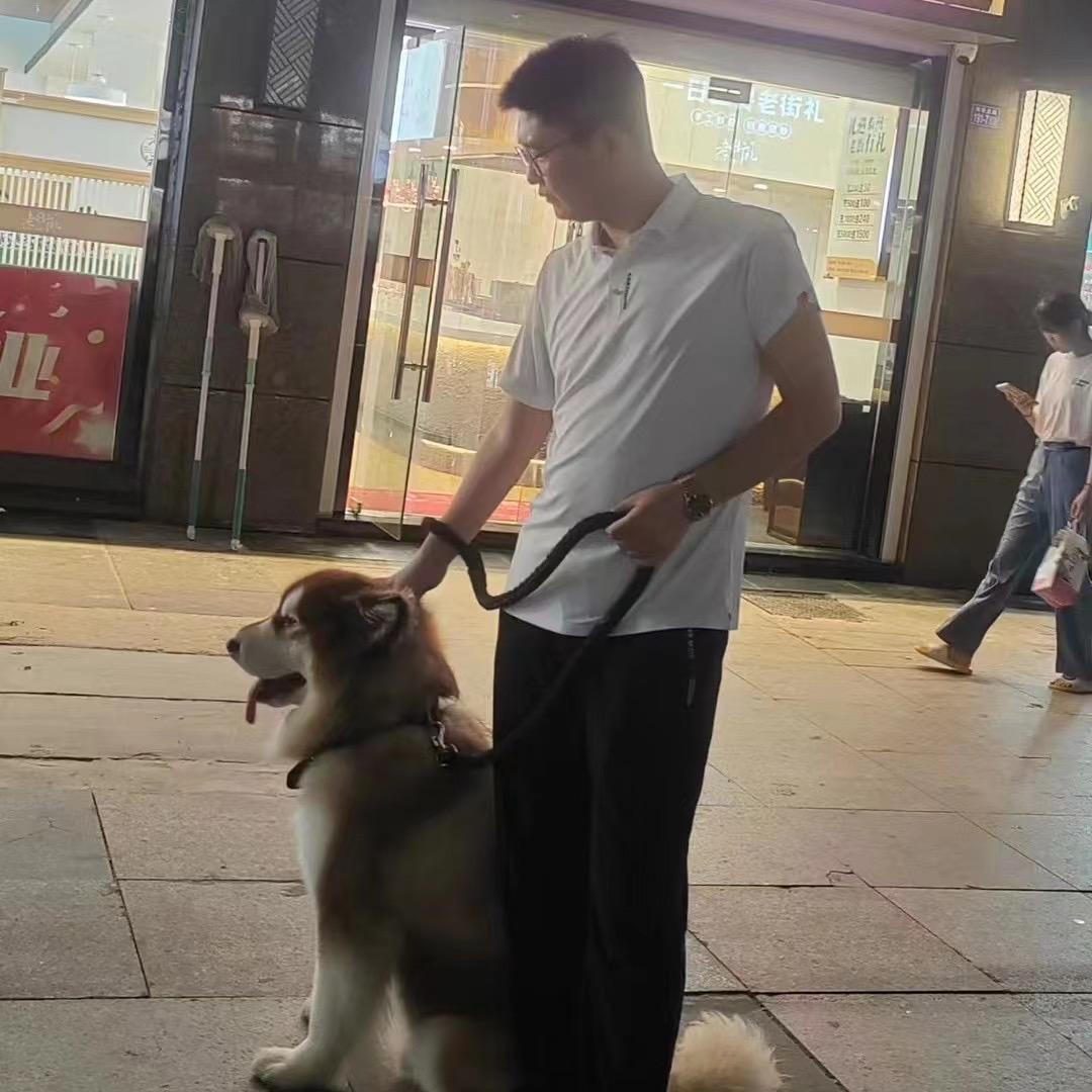 川渝先生爱Timi