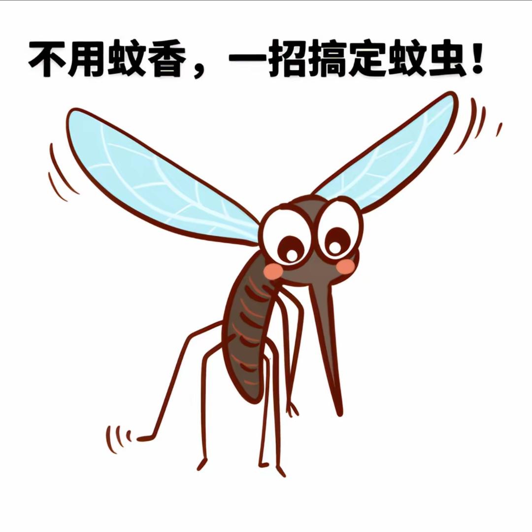 昊宇星禾  小付
