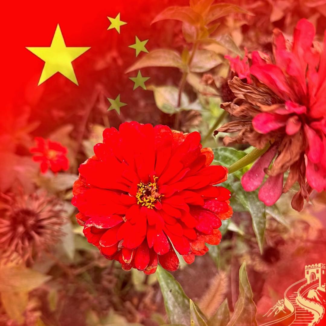 人生最高境界-乐不思蜀