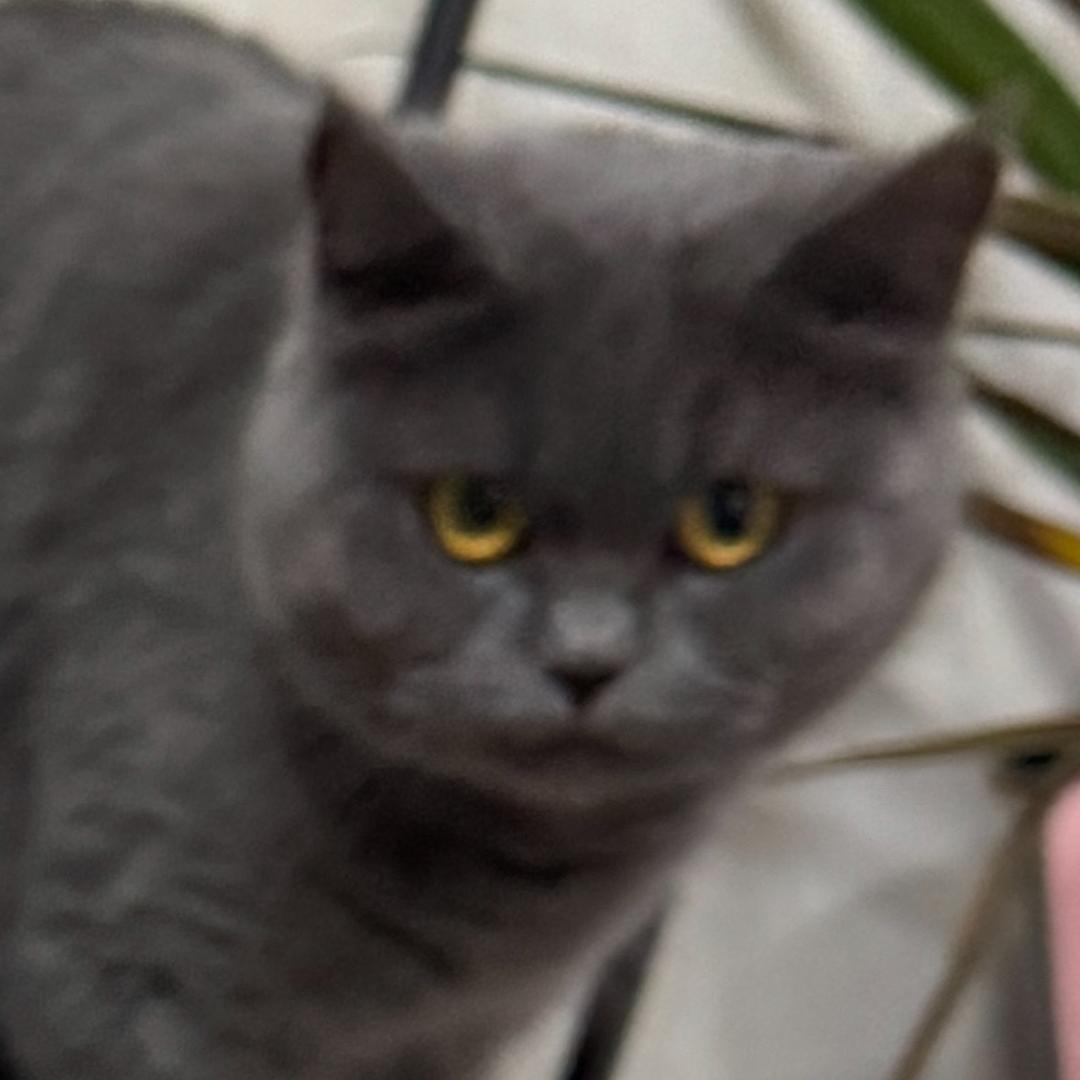 你一样
