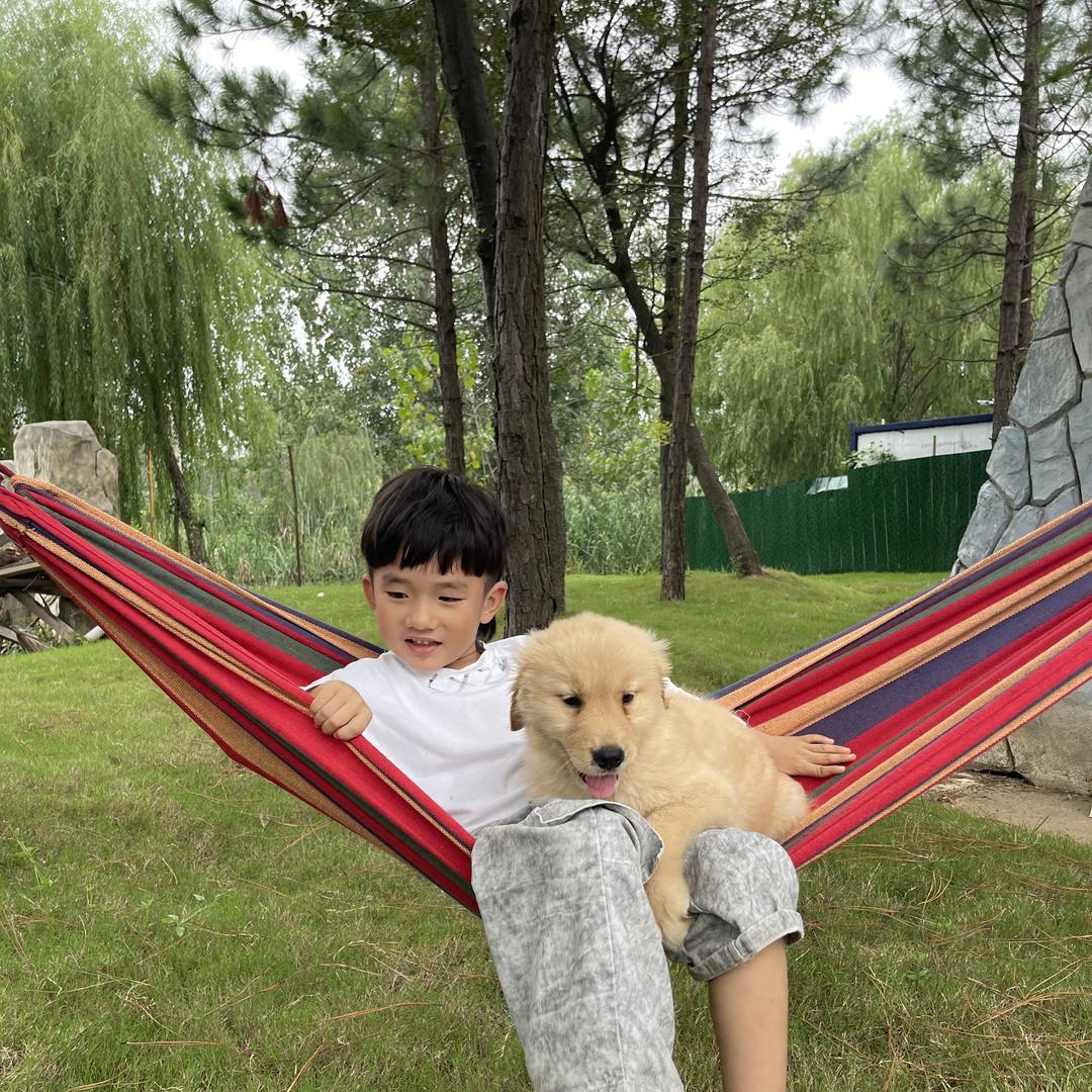 楚宝犬业-兼职日常