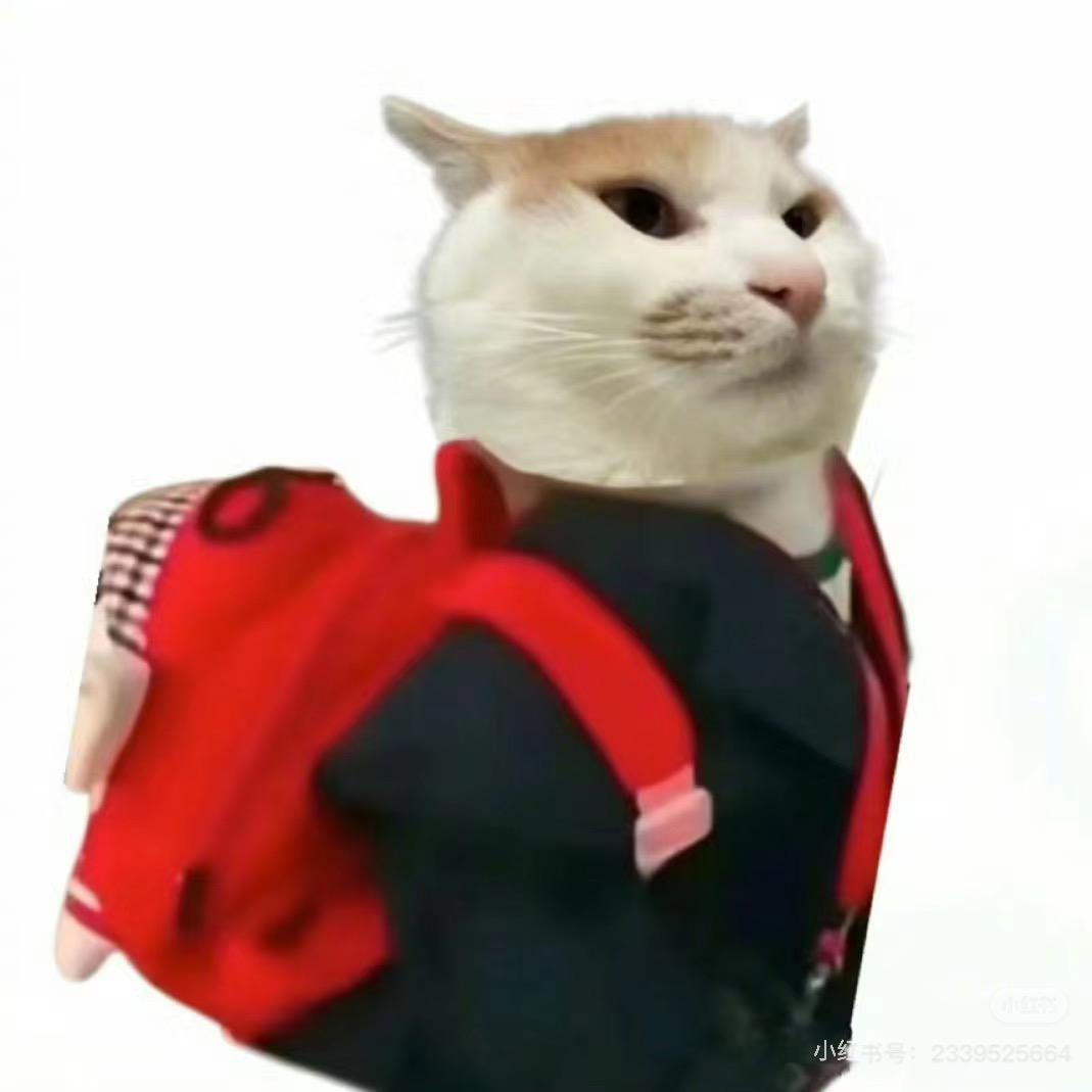 芋圆